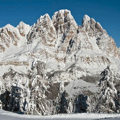 gal-posizione-03-1