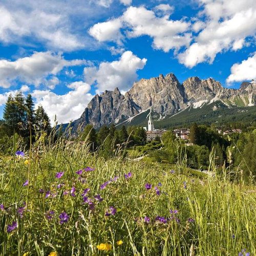 gal-posizione-09